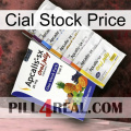 Cial Stock Price 11